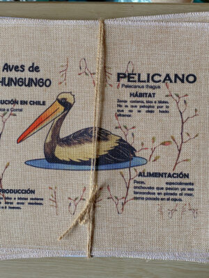 Set Individuales Fauna